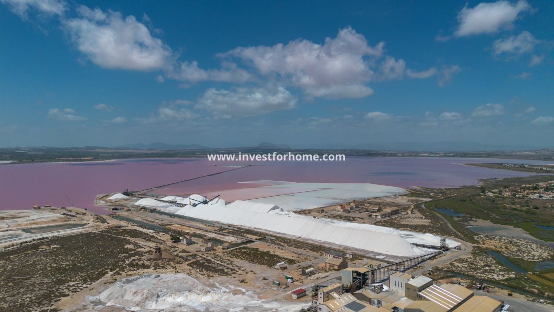Vente - Appartement - San Miguel de Salinas - Inland