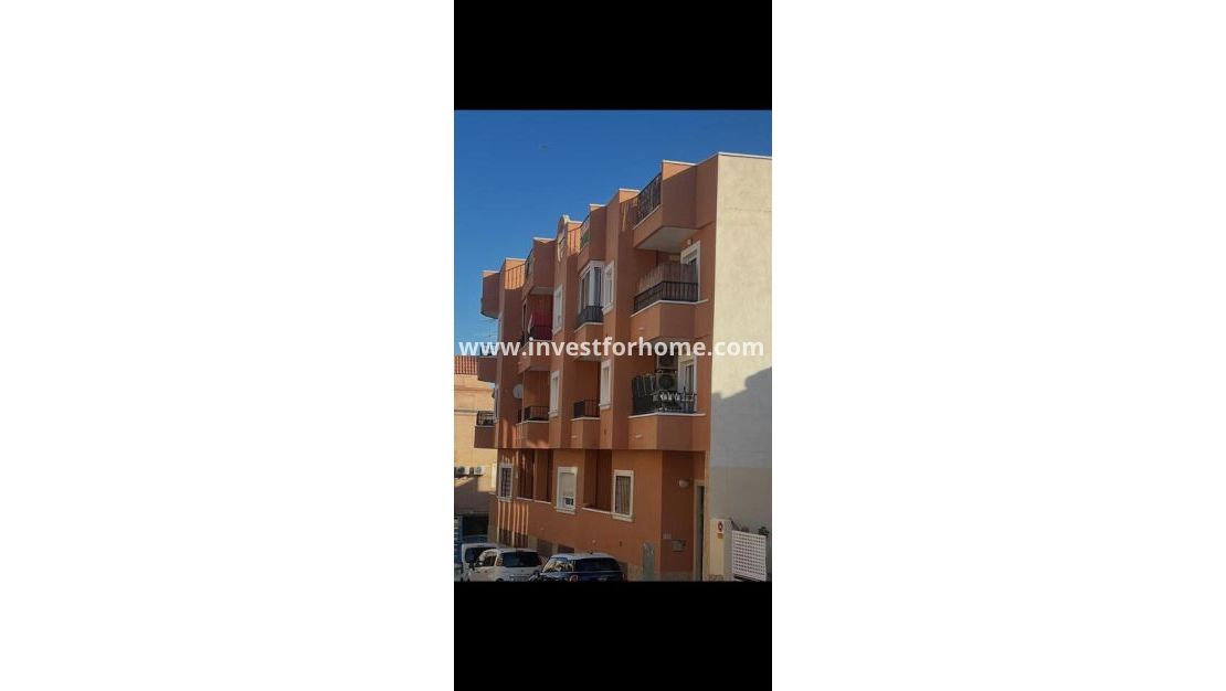Vente - Appartement - San Miguel de Salinas - Inland