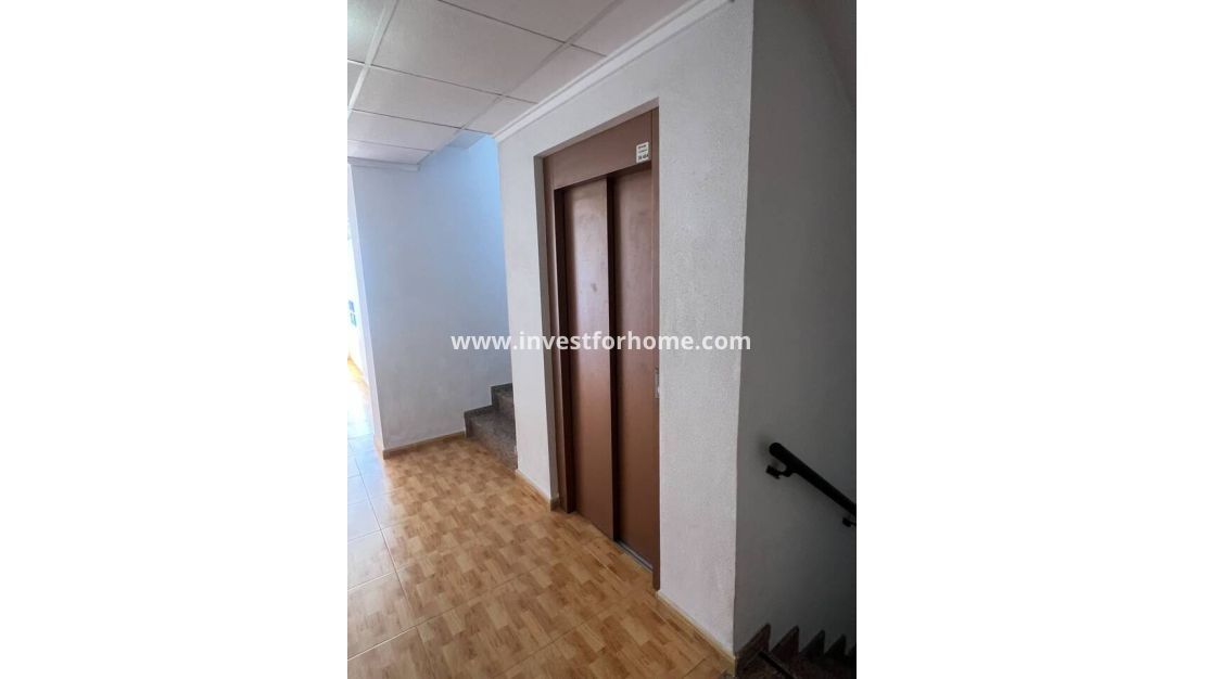 Vente - Appartement - San Miguel de Salinas - Inland