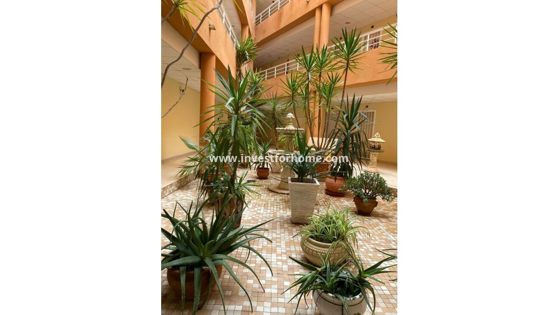 Vente - Appartement - San Miguel de Salinas - Pueblo 9