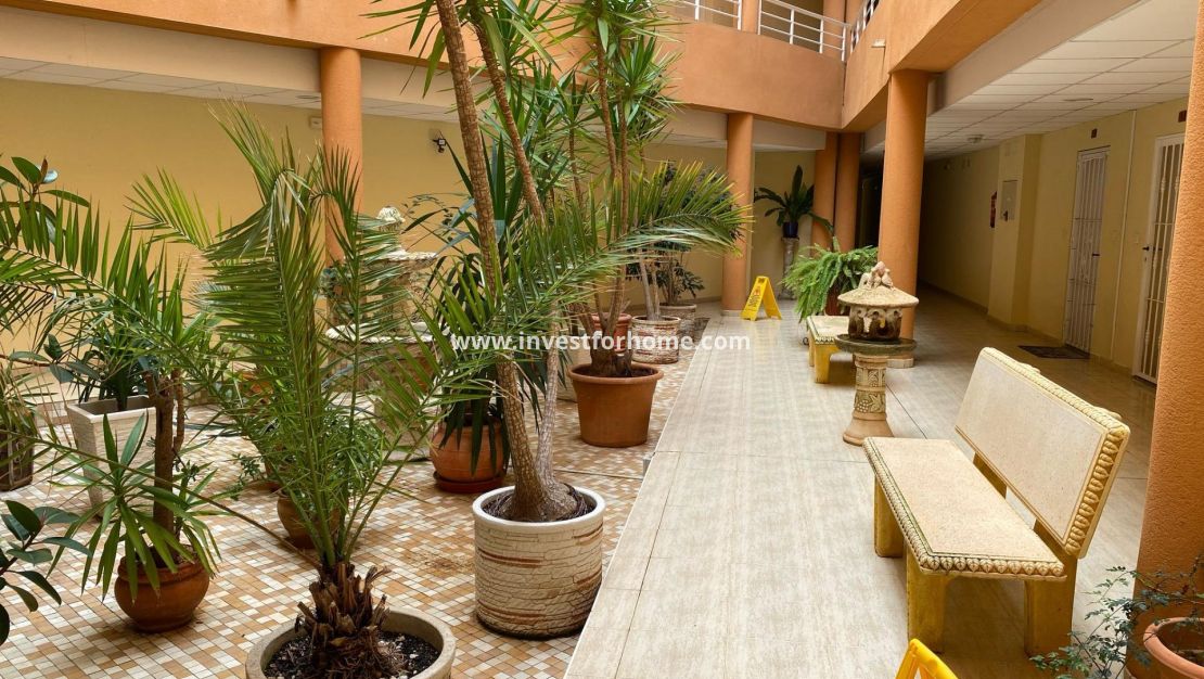 Vente - Appartement - San Miguel de Salinas - Pueblo 9