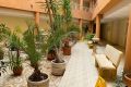 Vente - Appartement - San Miguel de Salinas - Pueblo 9