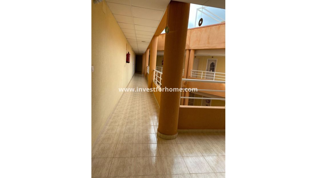 Vente - Appartement - San Miguel de Salinas - Pueblo 9