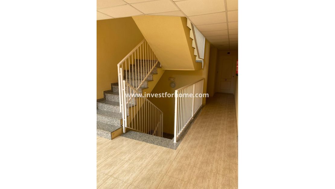 Vente - Appartement - San Miguel de Salinas - Pueblo 9