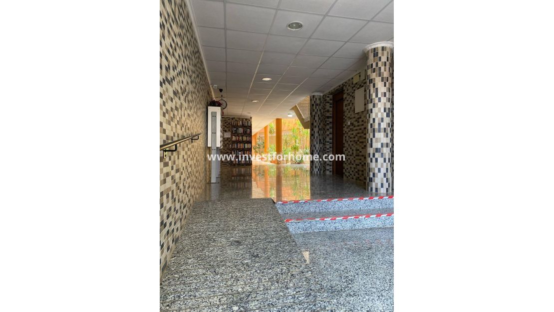 Vente - Appartement - San Miguel de Salinas - Pueblo 9