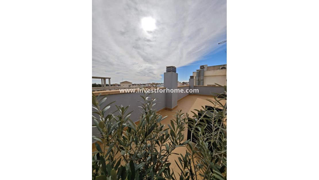 Vente - Appartement - San Miguel de Salinas - Pueblo 9