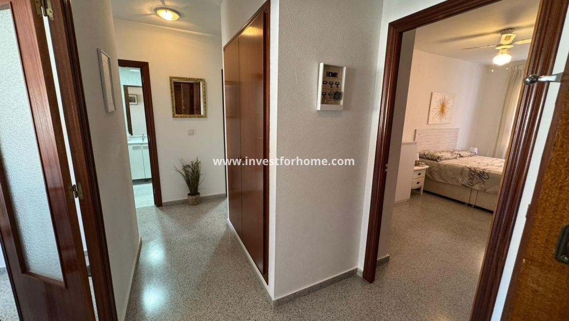 Vente - Appartement - San Miguel de Salinas