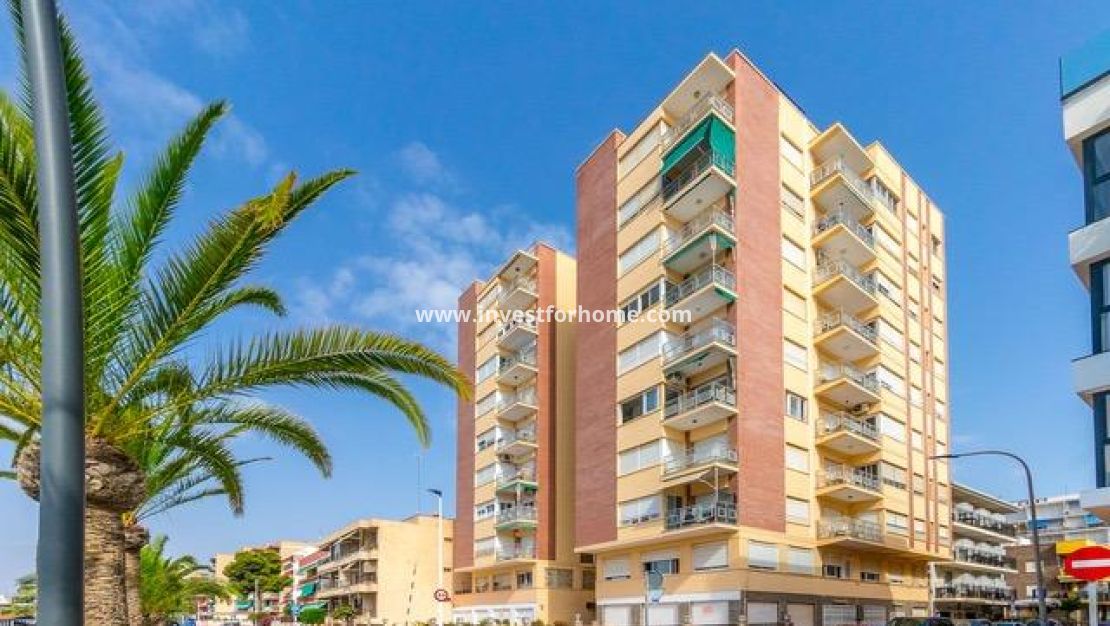 Vente - Appartement - San Pedro del Pinatar - Villananitos