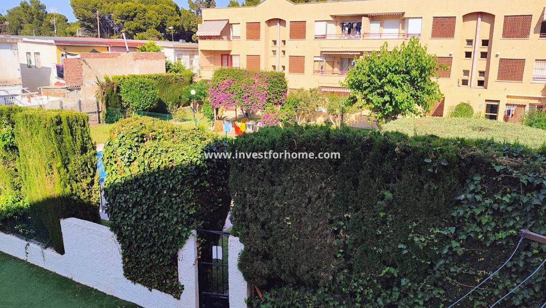 Vente - Appartement - San Pedro del Pinatar - Villananitos