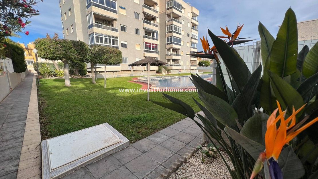 Vente - Appartement - Torrevieja - aguas nuevas