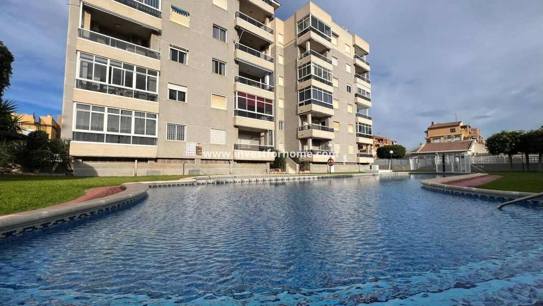 Vente - Appartement - Torrevieja - aguas nuevas