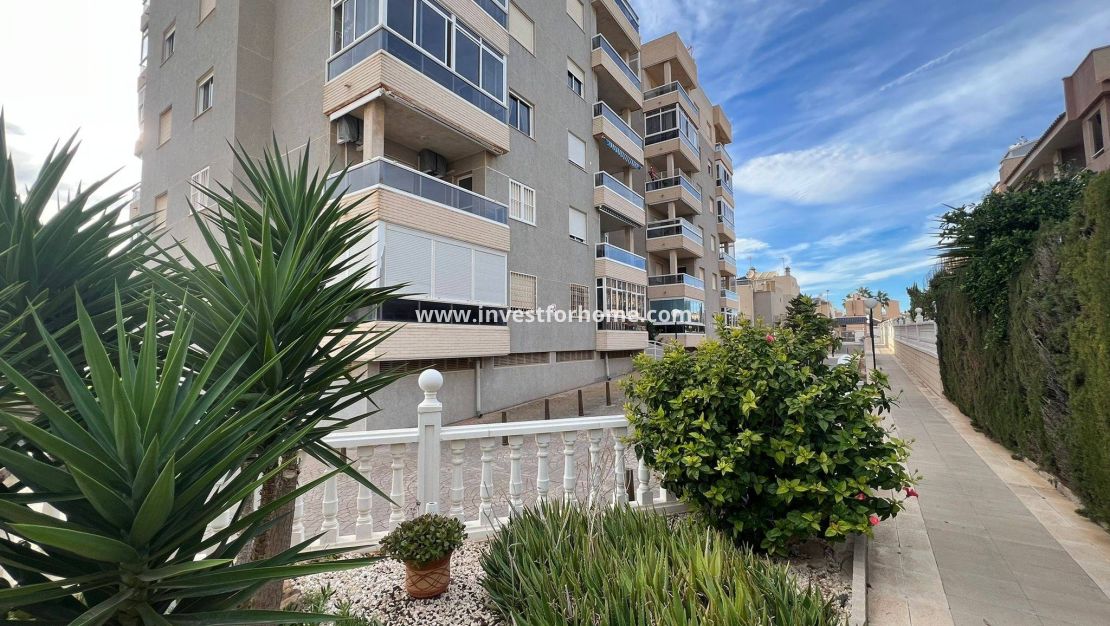 Vente - Appartement - Torrevieja - aguas nuevas