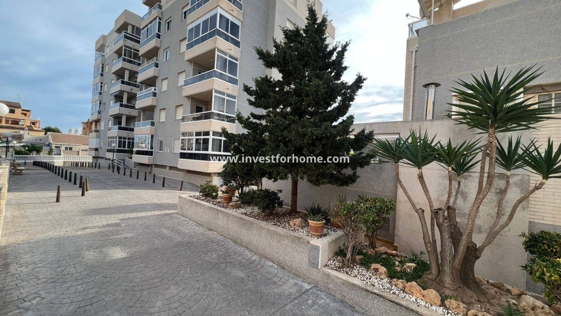 Vente - Appartement - Torrevieja - aguas nuevas