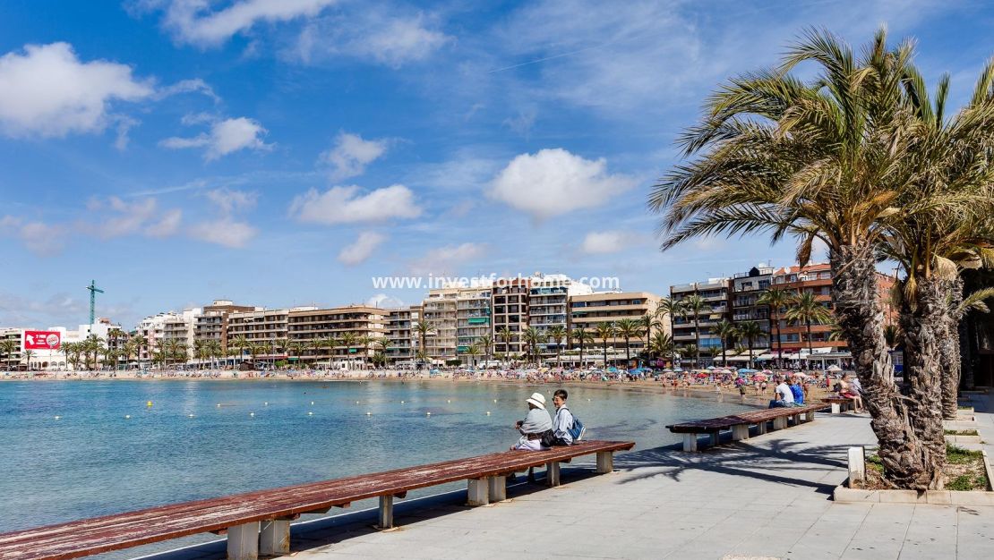 Vente - Appartement - Torrevieja - Antonio Machado