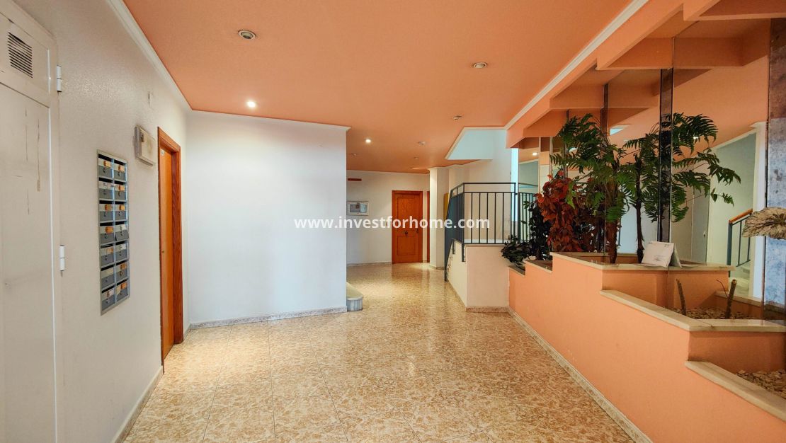 Vente - Appartement - Torrevieja - Centro