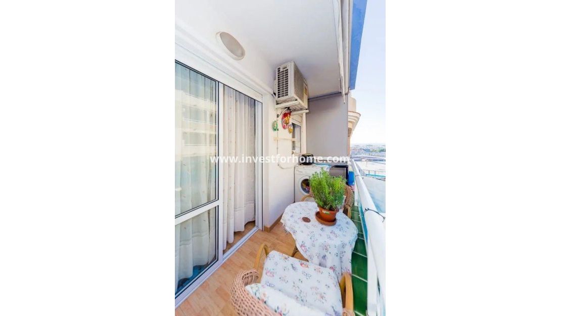 Vente - Appartement - Torrevieja - Centro