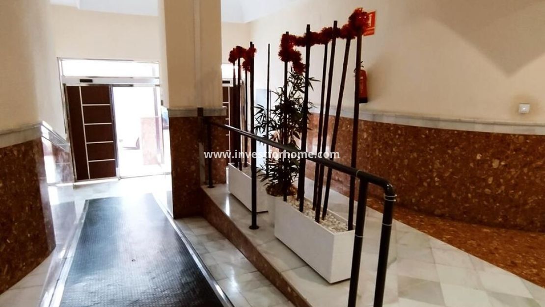 Vente - Appartement - Torrevieja - Centro