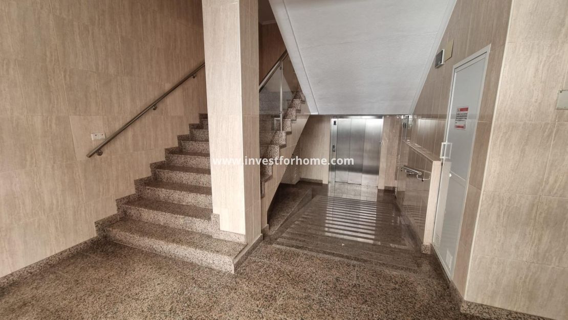 Vente - Appartement - Torrevieja - Centro