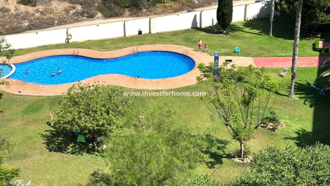 Vente - Appartement - Torrevieja - Centro