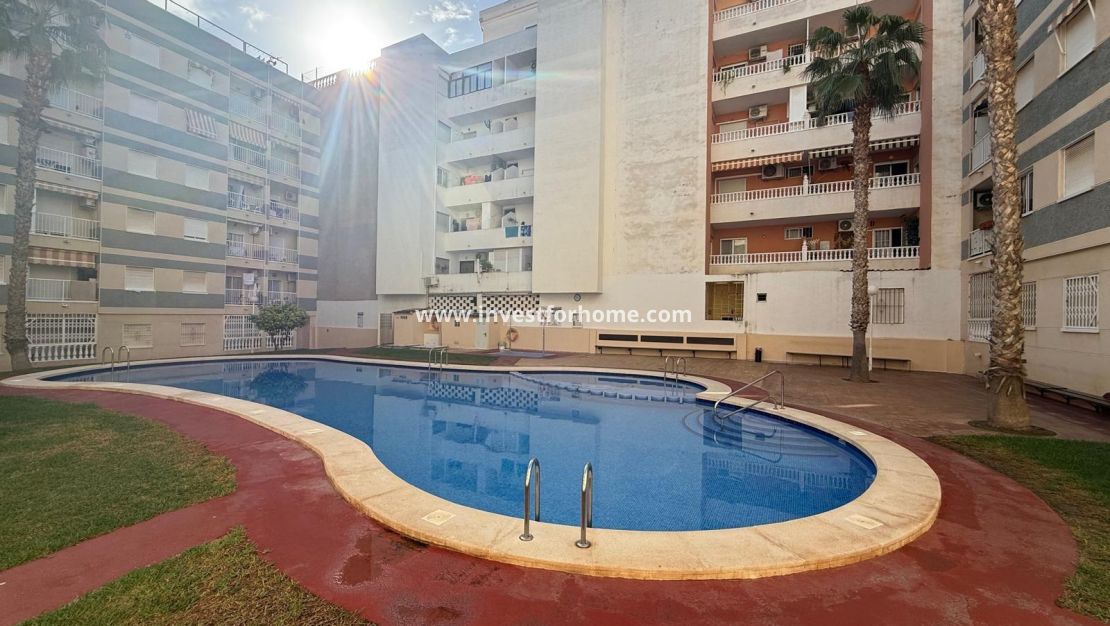 Vente - Appartement - Torrevieja - Centro