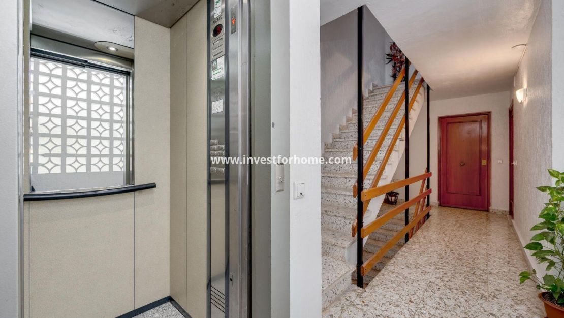 Vente - Appartement - Torrevieja - Centro