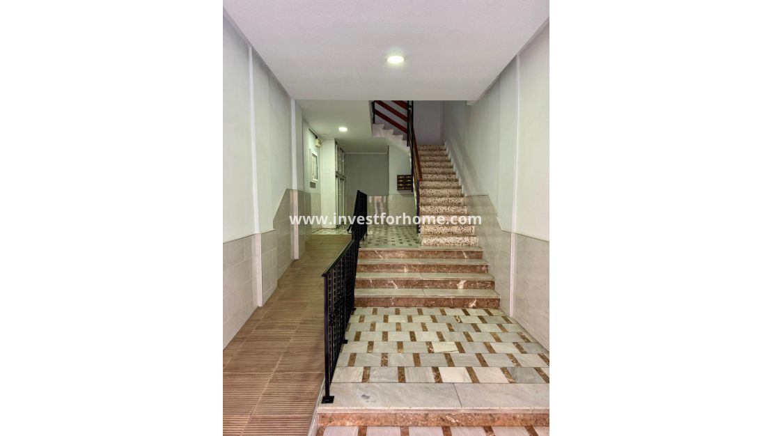 Vente - Appartement - Torrevieja - Centro