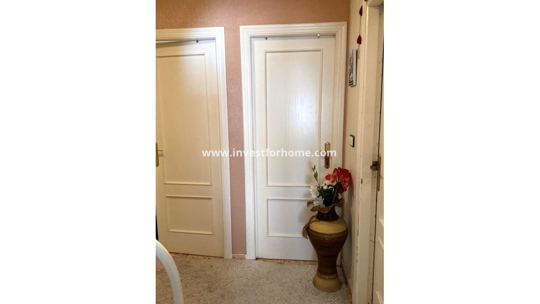 Vente - Appartement - Torrevieja - Centro