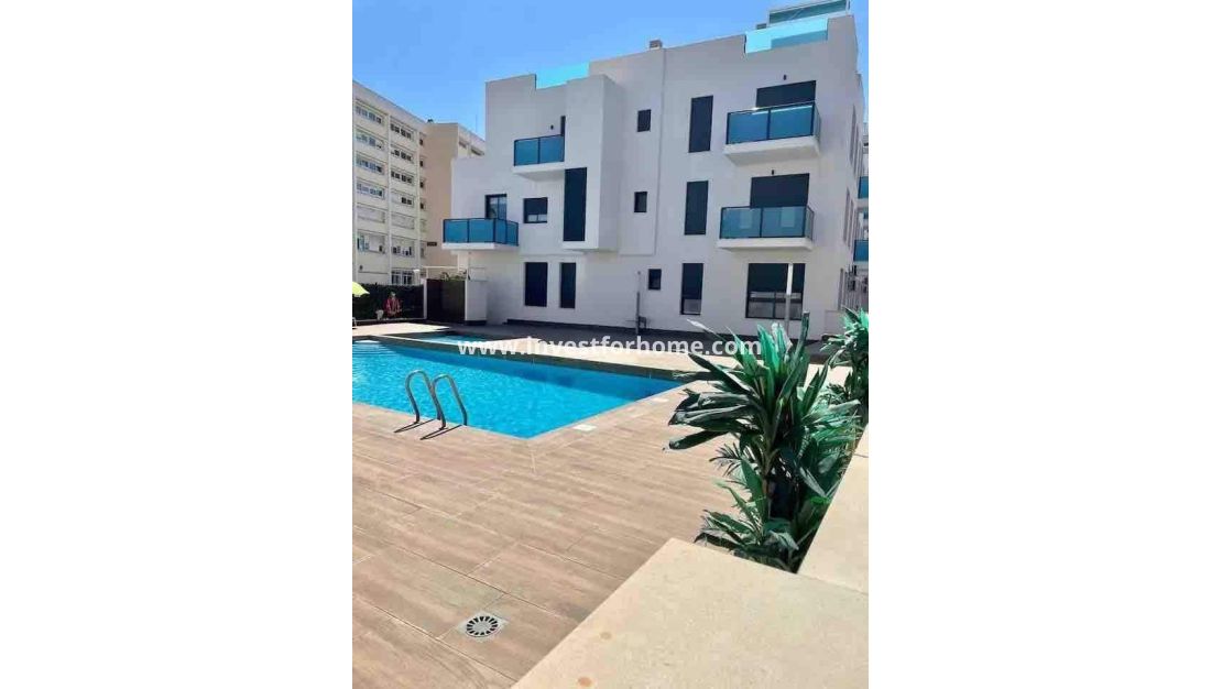 Vente - Appartement - Torrevieja - Centro