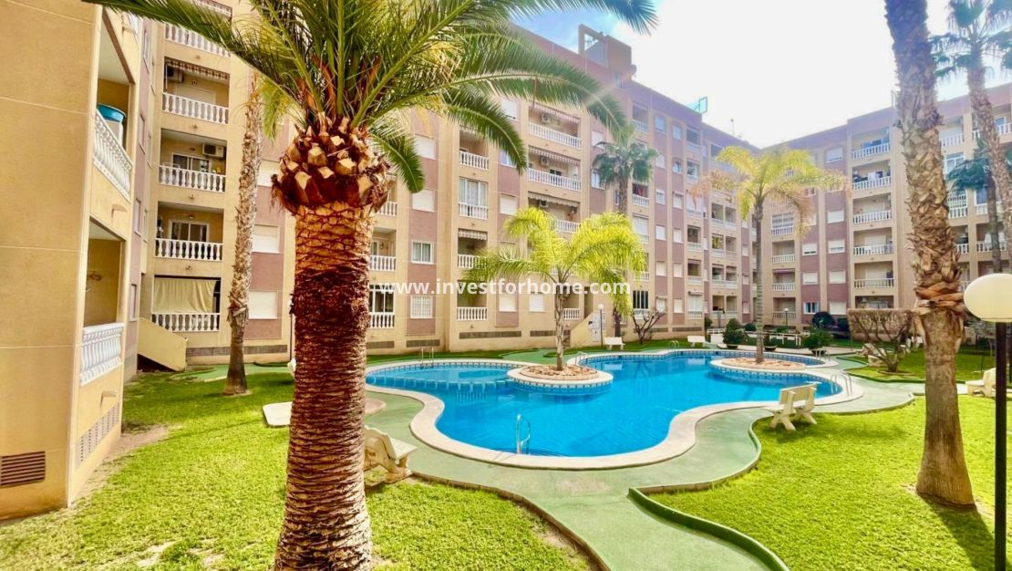 Vente - Appartement - Torrevieja - Centro