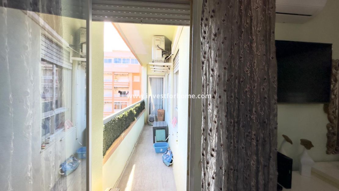 Vente - Appartement - Torrevieja - Centro