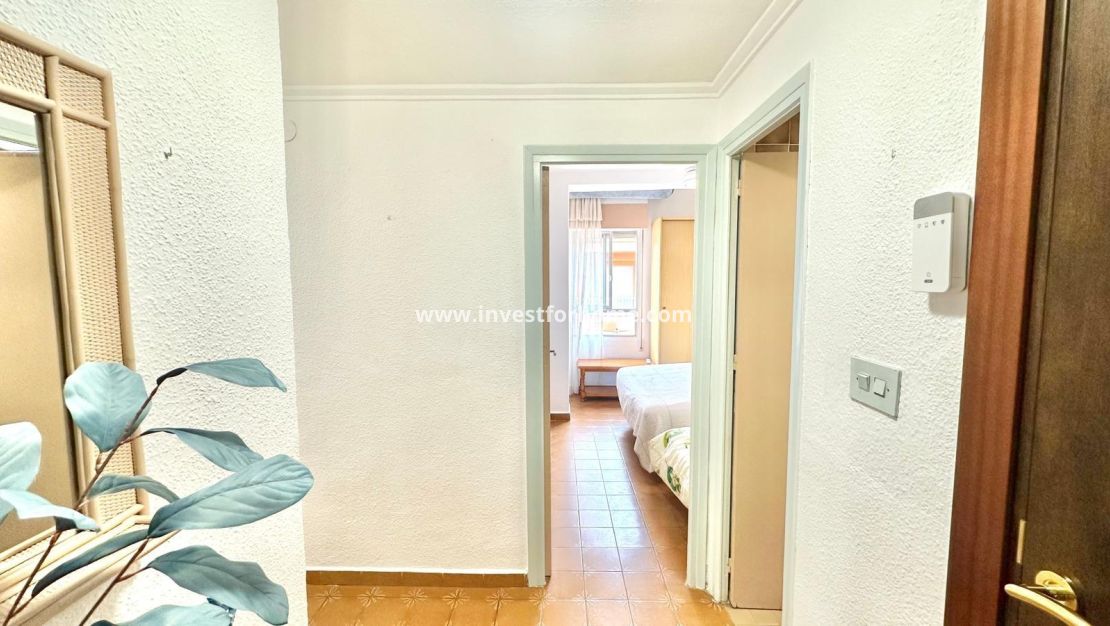 Vente - Appartement - Torrevieja - Centro