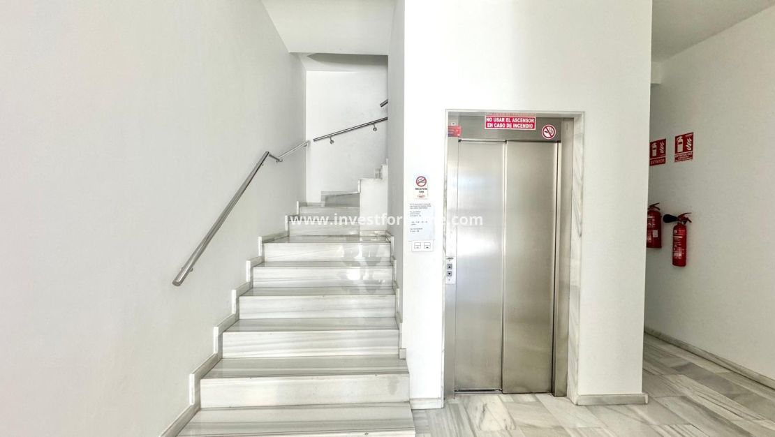 Vente - Appartement - Torrevieja - Centro