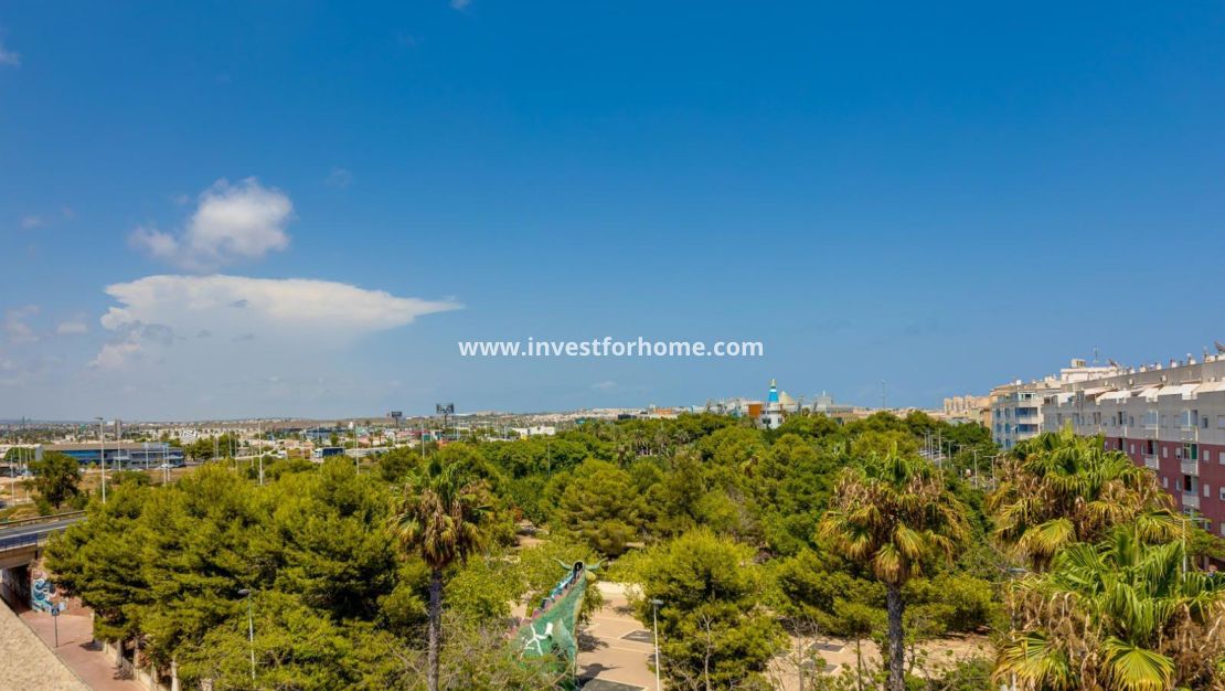 Vente - Appartement - Torrevieja - Centro