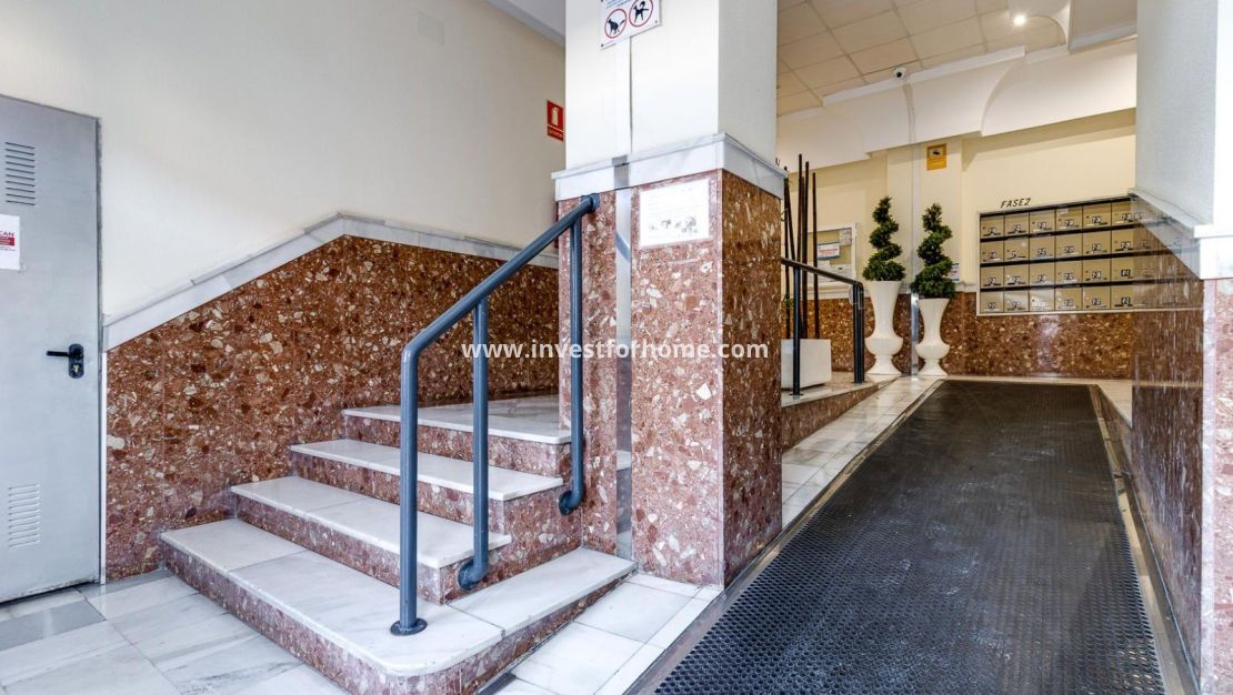 Vente - Appartement - Torrevieja - Centro