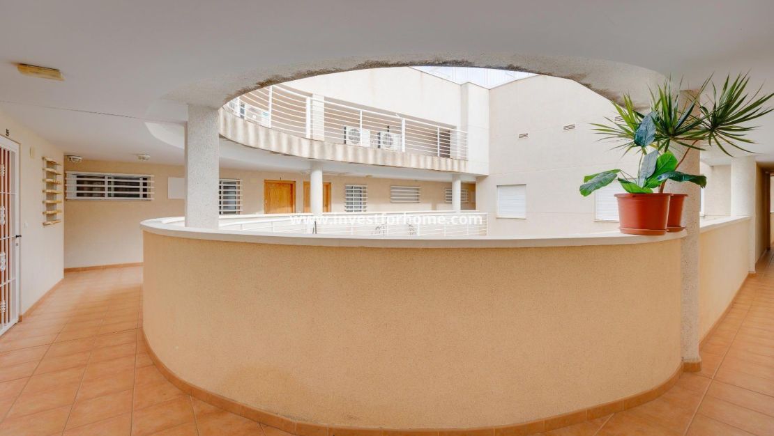 Vente - Appartement - Torrevieja - Centro