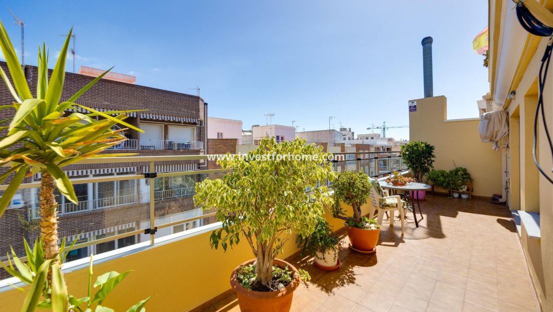 Vente - Appartement - Torrevieja - Centro