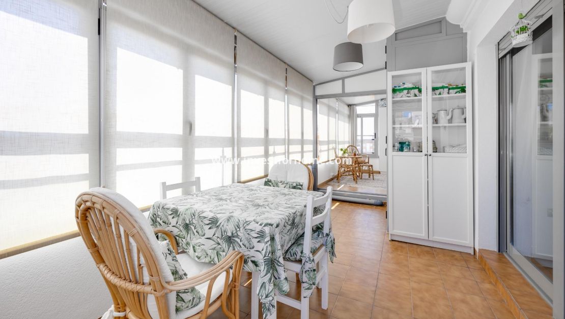 Vente - Appartement - Torrevieja - Centro