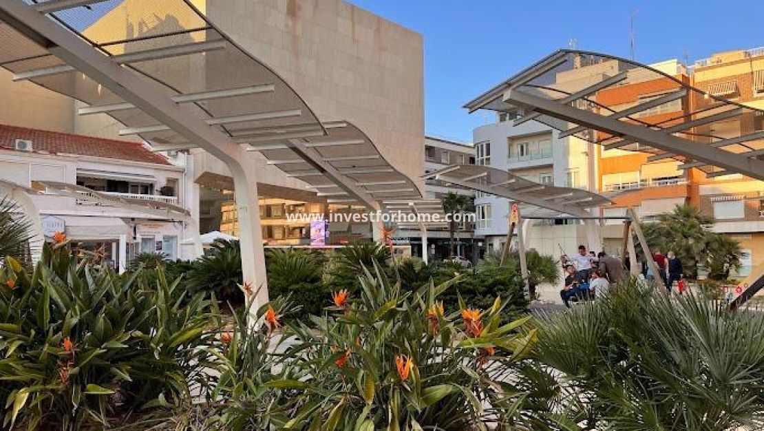 Vente - Appartement - Torrevieja - Centro