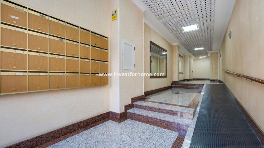 Vente - Appartement - Torrevieja - Centro