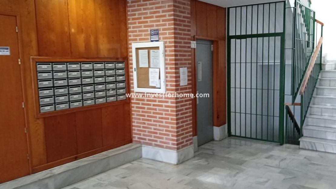 Vente - Appartement - Torrevieja - Centro