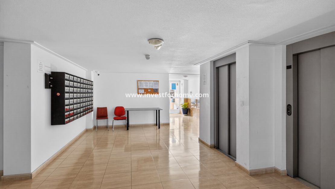 Vente - Appartement - Torrevieja - Centro