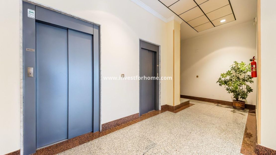 Vente - Appartement - Torrevieja - Centro