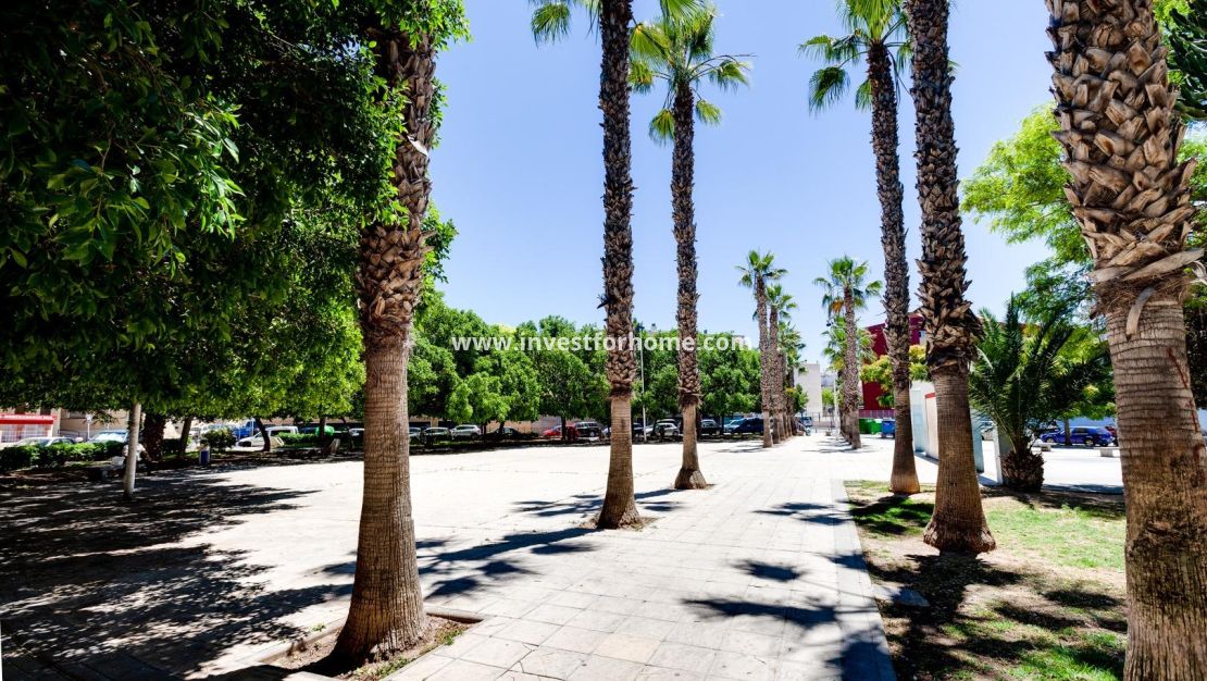Vente - Appartement - Torrevieja - Centro