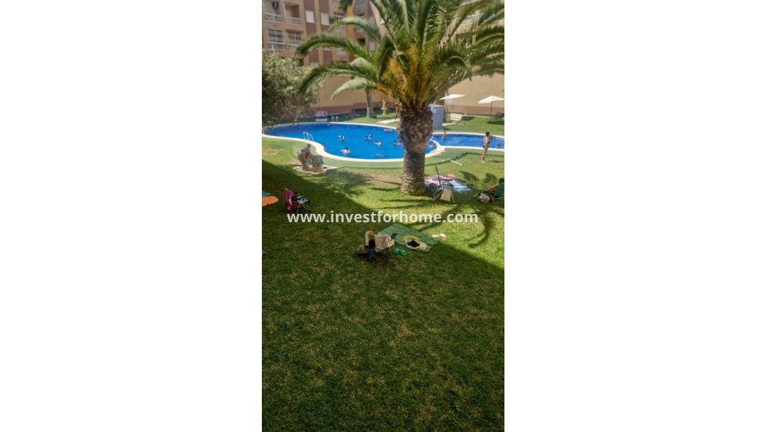 Vente - Appartement - Torrevieja - Centro