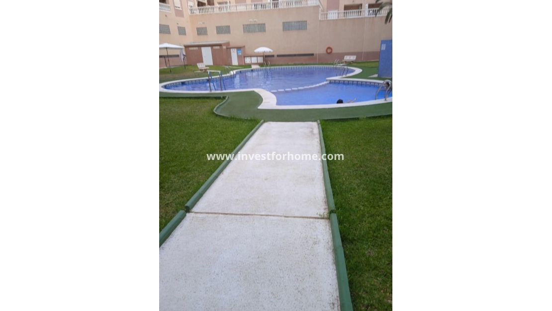 Vente - Appartement - Torrevieja - Centro