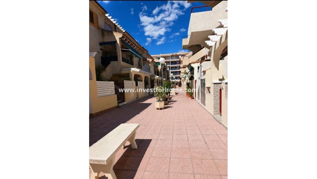 Vente - Appartement - Torrevieja - Centro