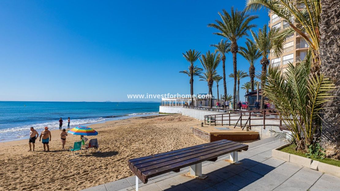 Vente - Appartement - Torrevieja - Centro