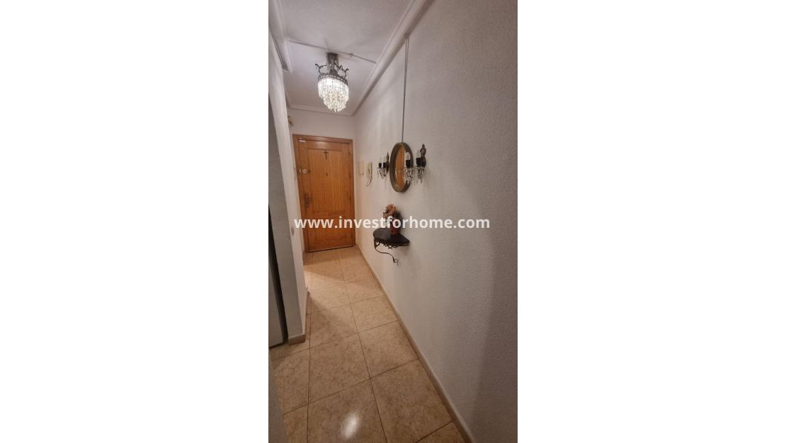 Vente - Appartement - Torrevieja - Centro