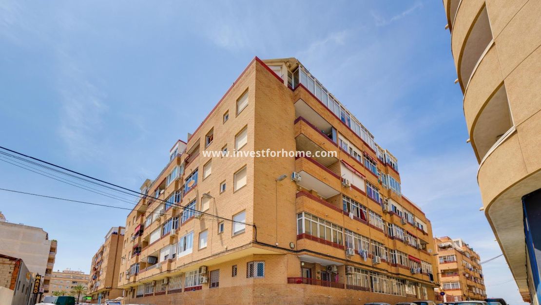 Vente - Appartement - Torrevieja - Centro