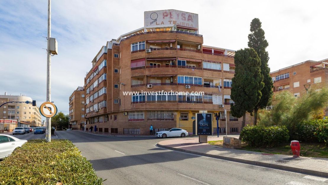 Vente - Appartement - Torrevieja - Centro